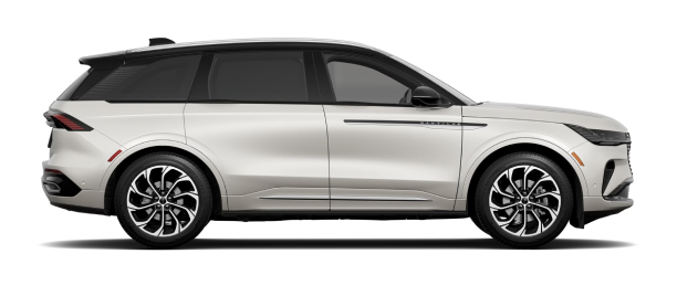 White Nautilus isolated on white background